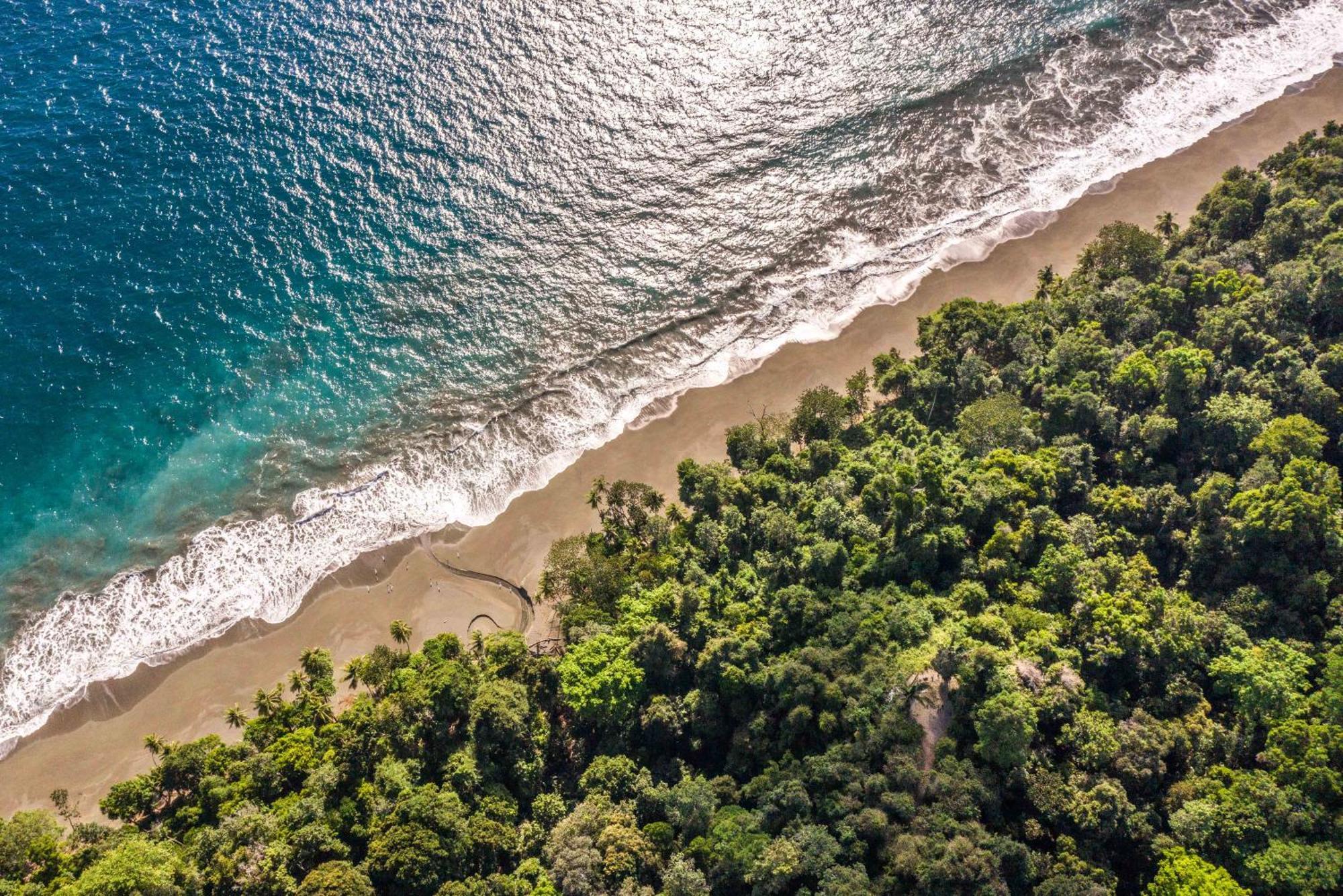 El Remanso Rainforest Lodge Puerto Jiménez Kültér fotó
