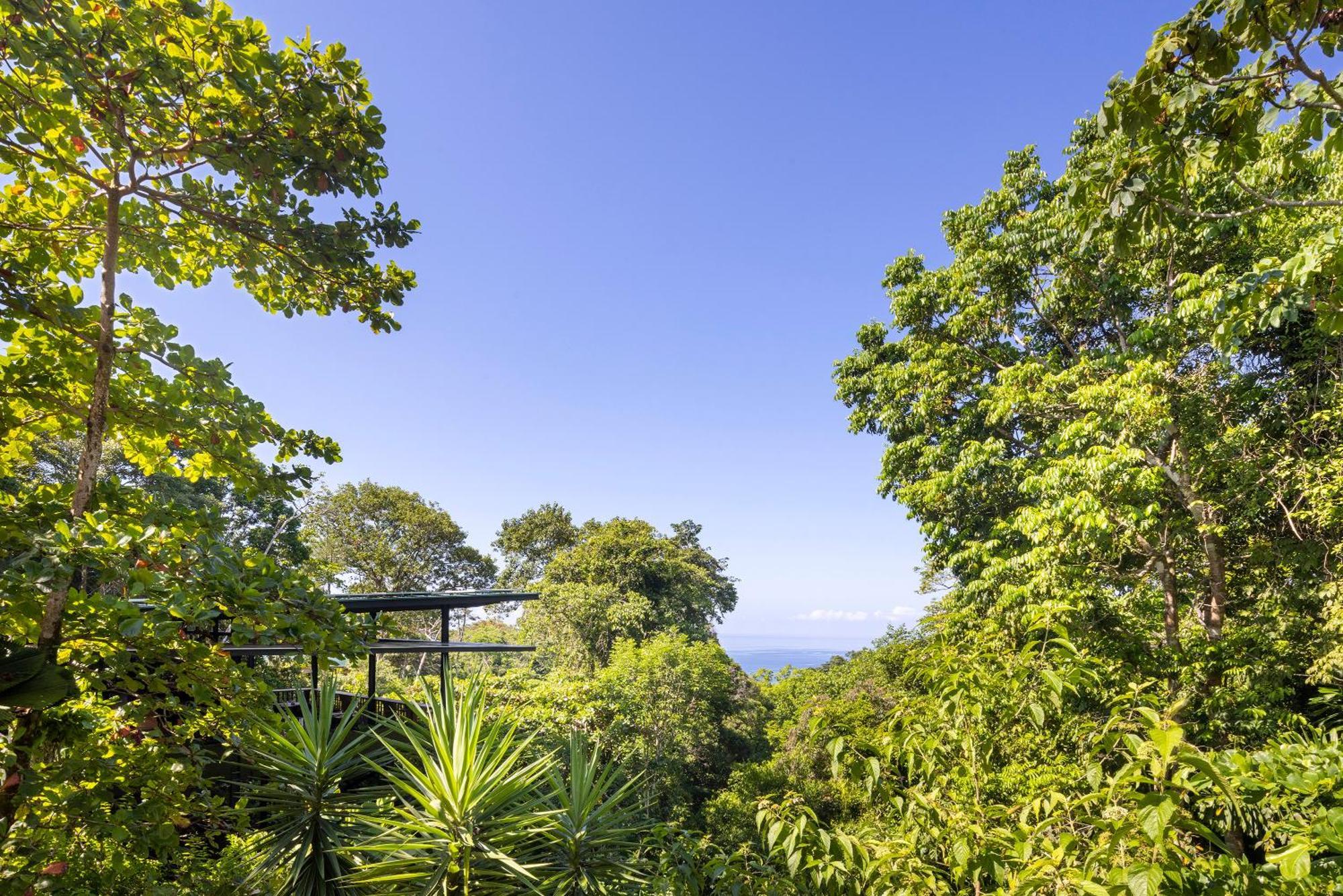 El Remanso Rainforest Lodge Puerto Jiménez Kültér fotó