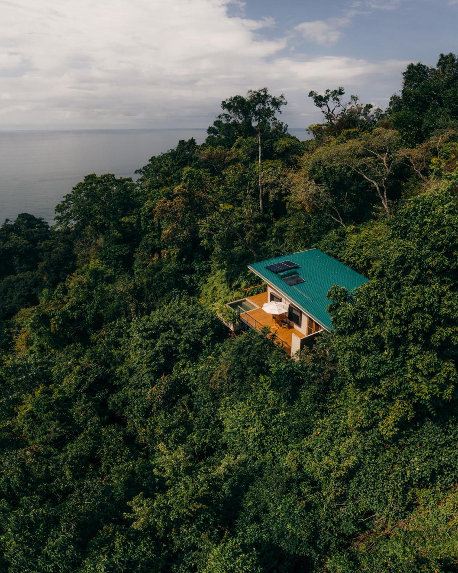 El Remanso Rainforest Lodge Puerto Jiménez Kültér fotó