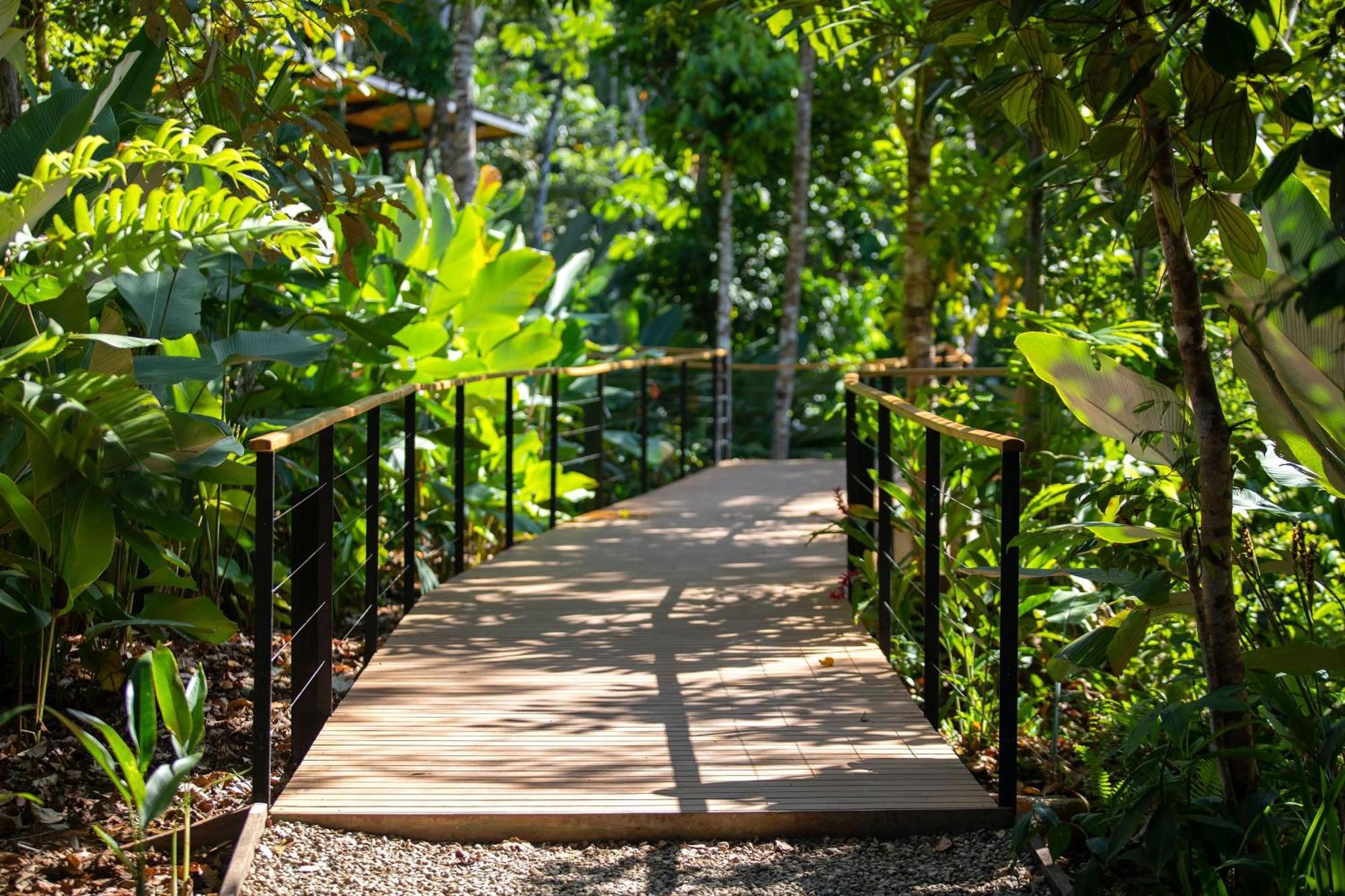 El Remanso Rainforest Lodge Puerto Jiménez Kültér fotó