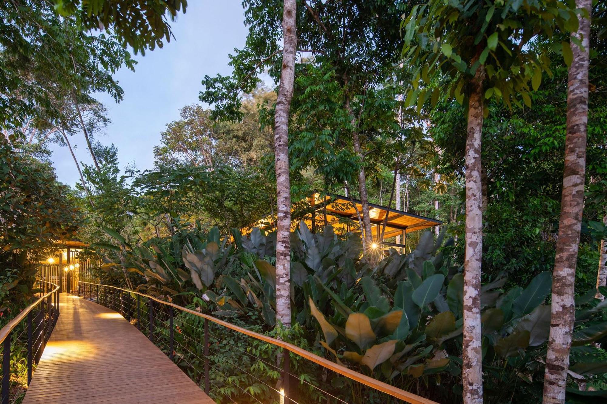 El Remanso Rainforest Lodge Puerto Jiménez Kültér fotó
