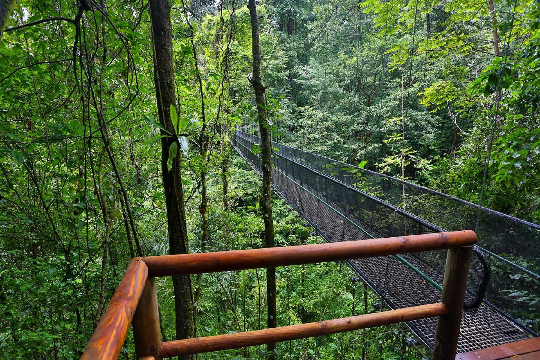 El Remanso Rainforest Lodge Puerto Jiménez Kültér fotó