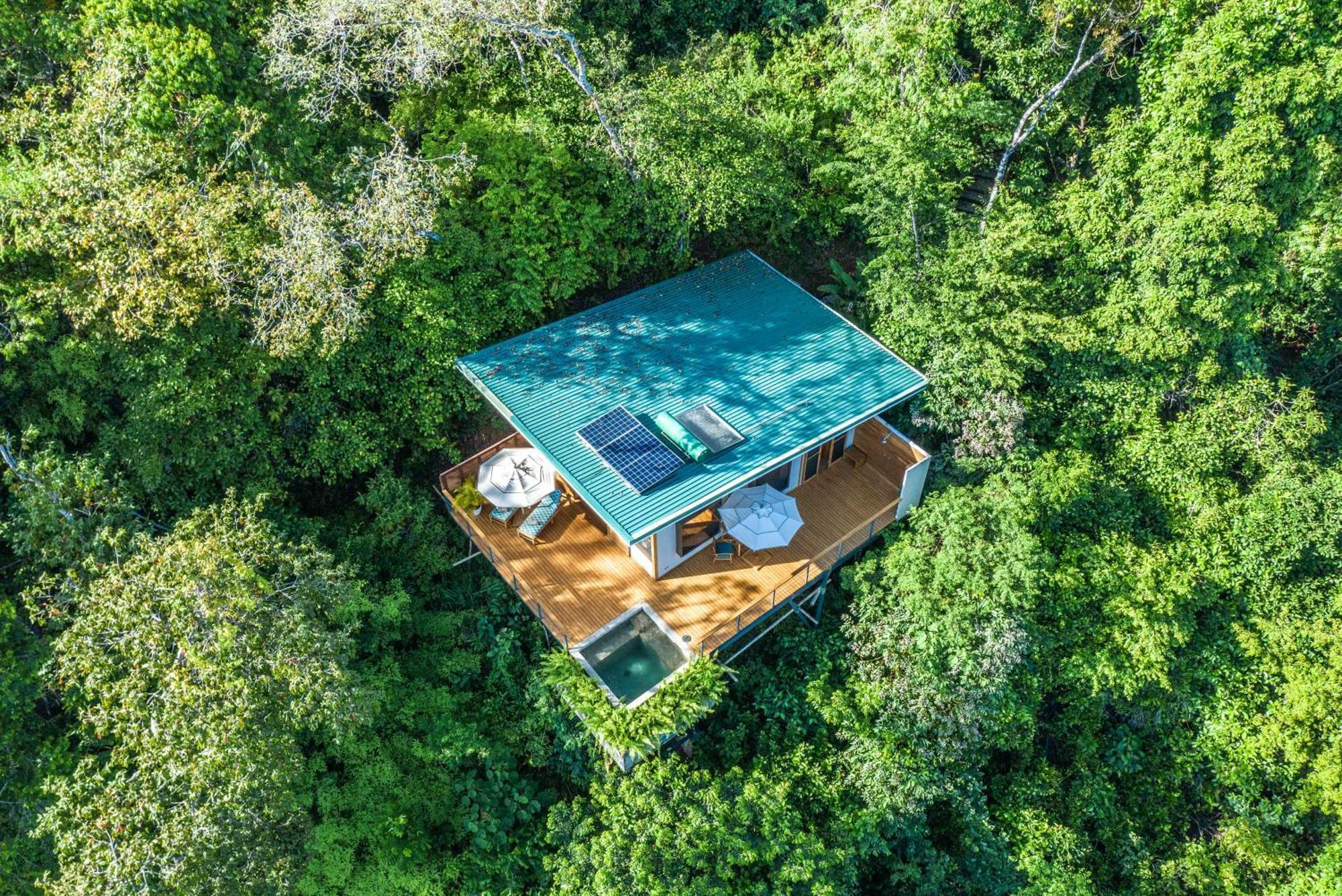 El Remanso Rainforest Lodge Puerto Jiménez Kültér fotó