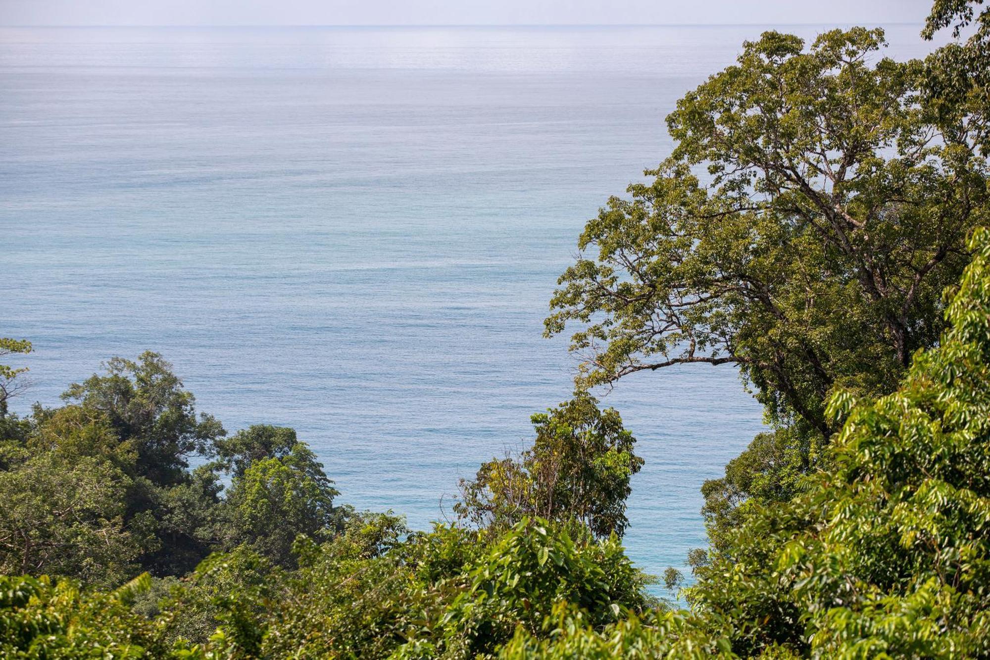 El Remanso Rainforest Lodge Puerto Jiménez Kültér fotó
